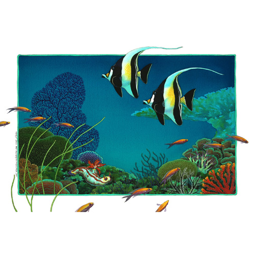 Moorish Idols & Nudibranch